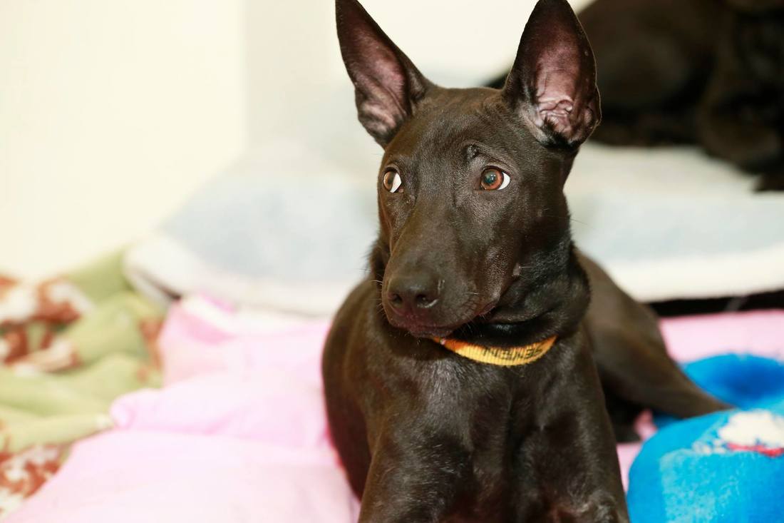 电影《荞麦疯长》定档2月28日 马思纯反差演绎叛逆逐梦故事‘三亿体育官网’