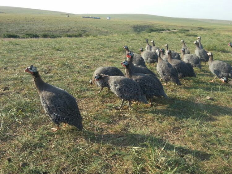 三亿体育手机版