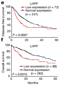 三亿体育手机版|
手机广告哪些平台投放比力好_皆知传媒(图3) 三亿体育手机版
