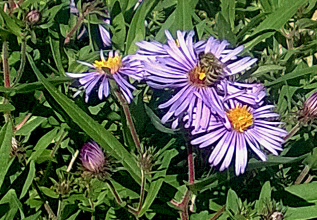 忍不了!强制寓目没有选择权,博主吐槽智能电视开机广告引发烧议【三亿体育官网】(图3) 三亿体育官网