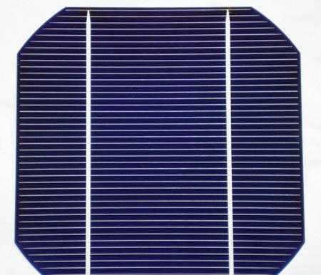 三亿体育-2015年1季度北美OSB产量同比增长3%