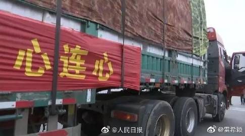 三亿体育-美国关注非法木材贸易行为(图2) 三亿体育