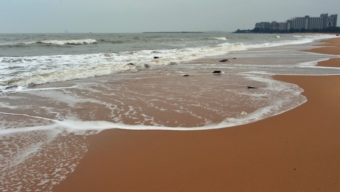 伊犁地区最大木材加工厂建成投产‘三亿体育’(图2) 三亿体育