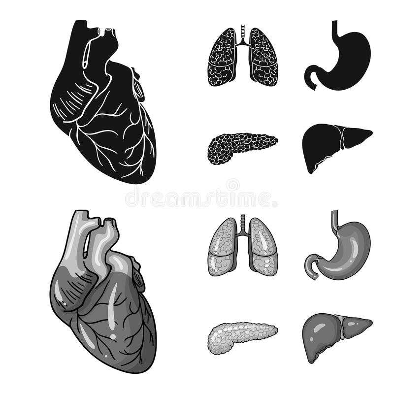 三亿体育手机版