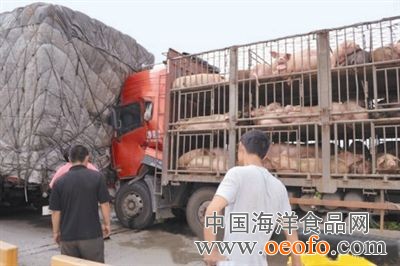 三亿体育手机版_温家宝:经济刺激政策早退可能致前功尽弃