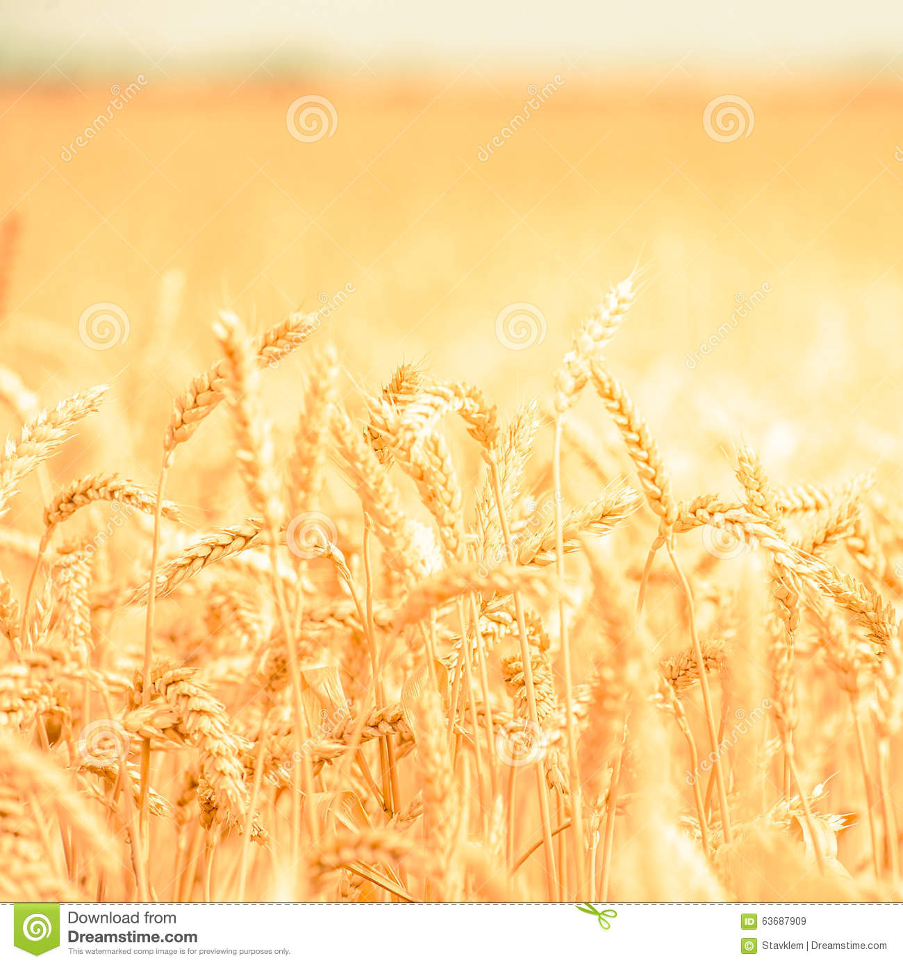 通知丨第四届中国广告年度数字大奖优惠申报期延续至11月15日:三亿体育