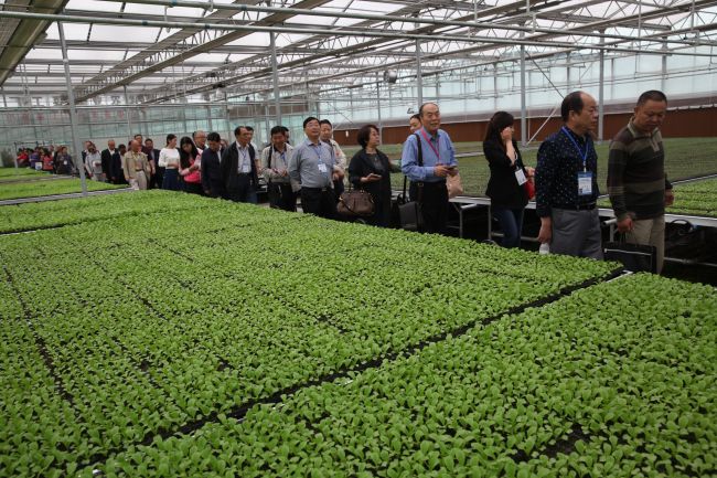 3月木材市场有所回暖 橡木成交放大价格企稳|三亿体育