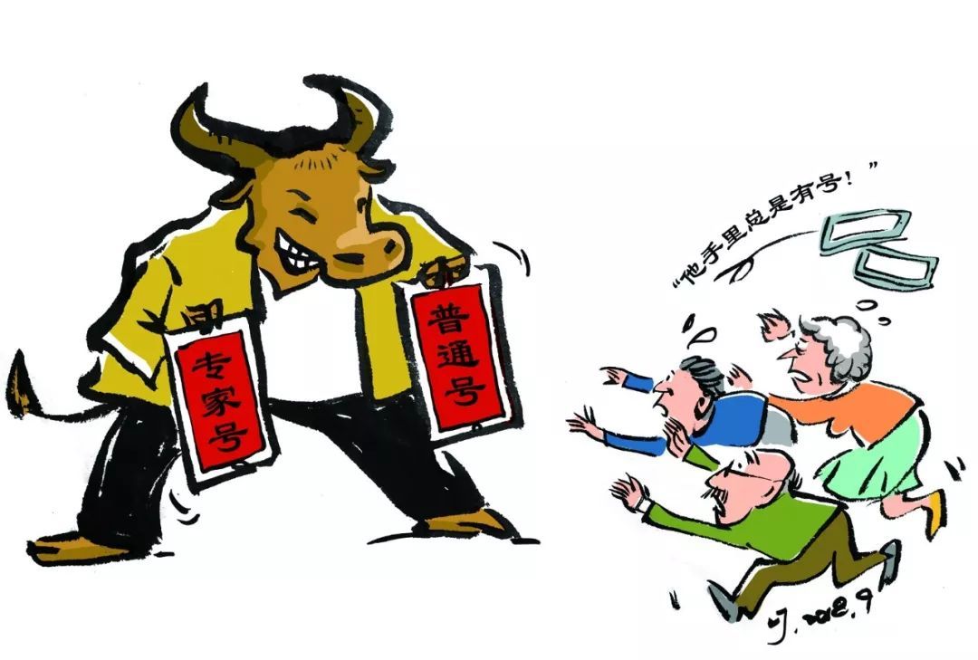 三亿体育官网_广东沉香种植排名第一 广西第二(图2) 三亿体育