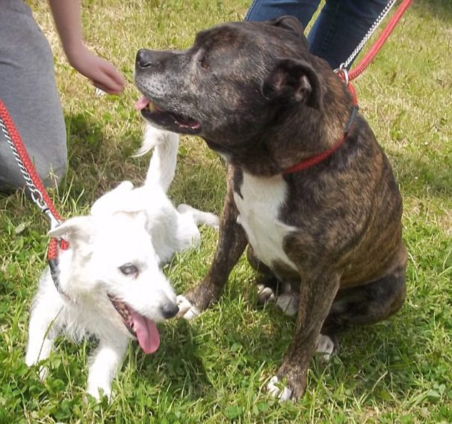 好了伤疤忘了疼 问诊地板行业“阵痛”【三亿体育手机版】