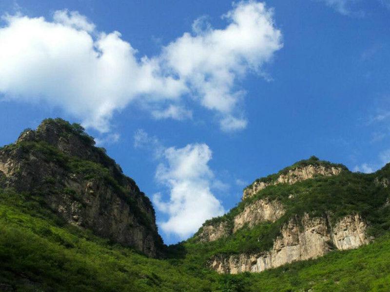 ‘三亿体育官网’松木地板室内铺装美得超乎你想像