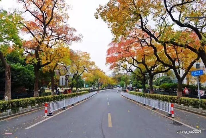 【三亿体育】2016年莆田口岸原木进口量实现开门红