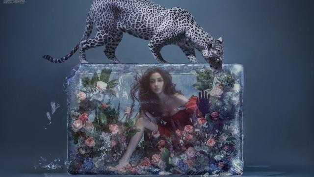 满洲里海关启用全国首套木材材积分析检测系统_三亿体育