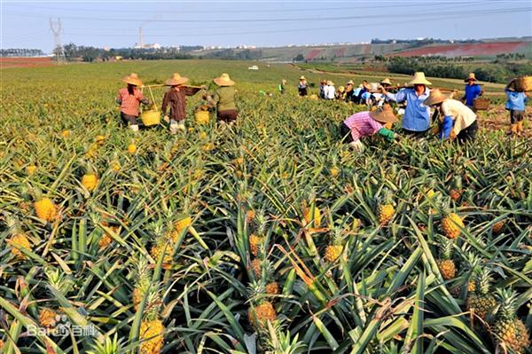 三亿体育手机版：有没有一句广告词曾经洗过你的脑？