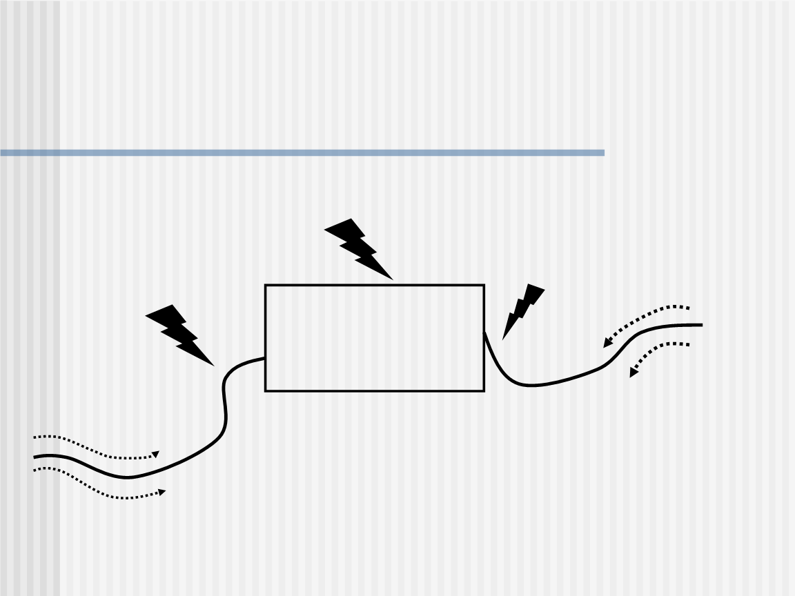 三亿体育官网：北美黑胡桃价格大跌