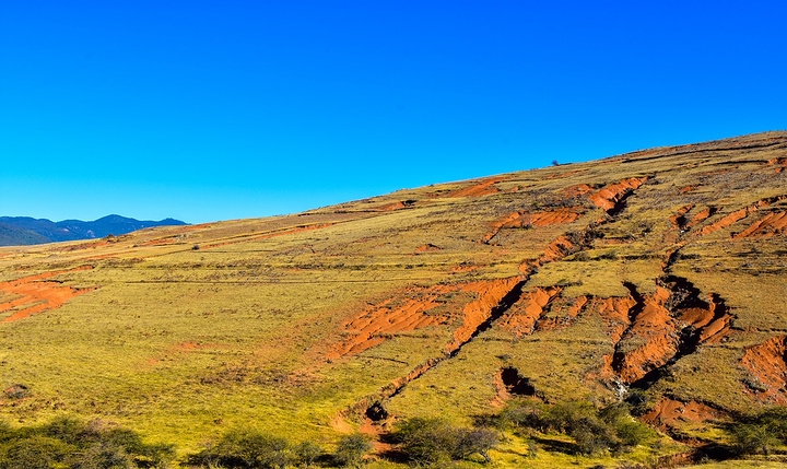 三亿体育手机版