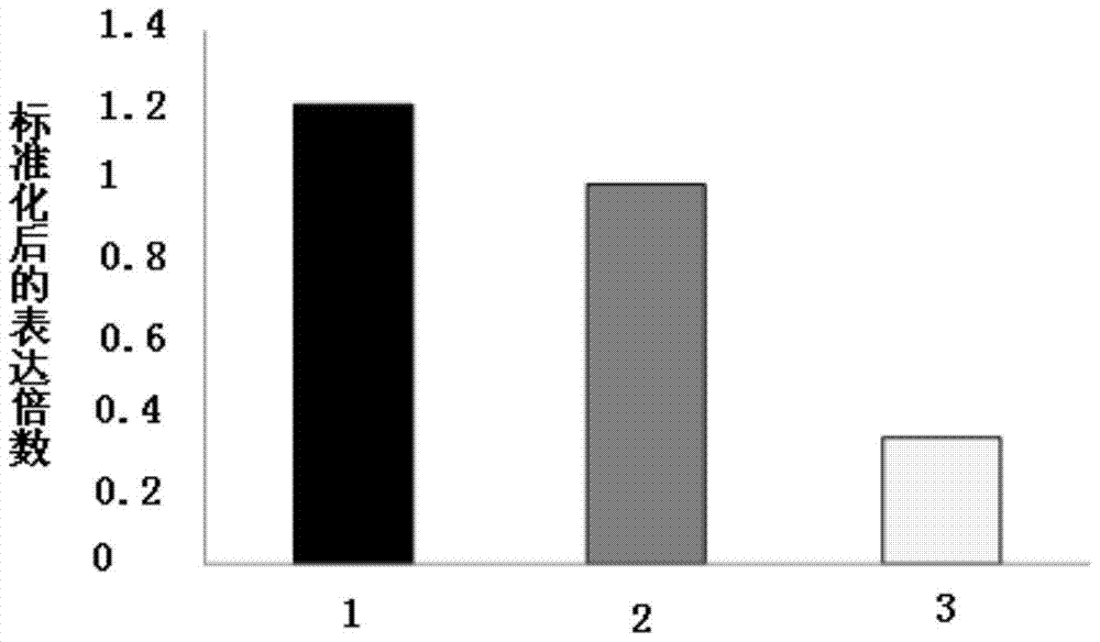 三亿体育手机版