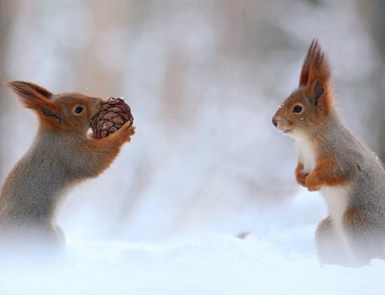 三亿体育-《天罡奇门阵》今日烧脑上线,赛博朋克游戏世界等你来破阵!(图2) 三亿体育官网