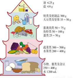 FCB决策制定所创立者 Matthew Willcox著书《畅销的原理：为什么好观念、好产品会一炮而红？》为您解密决策制【三亿体育】