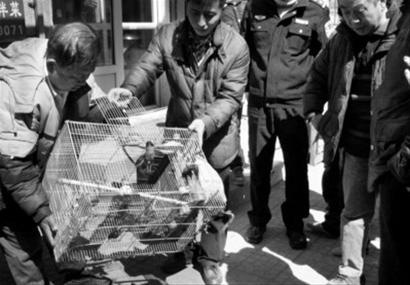 【三亿体育官网】2016行业领导力论坛 腾讯企点获SCRM最具创新领导力奖(图3) 三亿体育官网