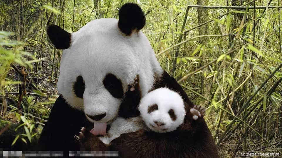 Amnet携同亿滋、MCM开启2015全球数字营销峰会序幕‘三亿体育手机版’(图1) 三亿体育手机版