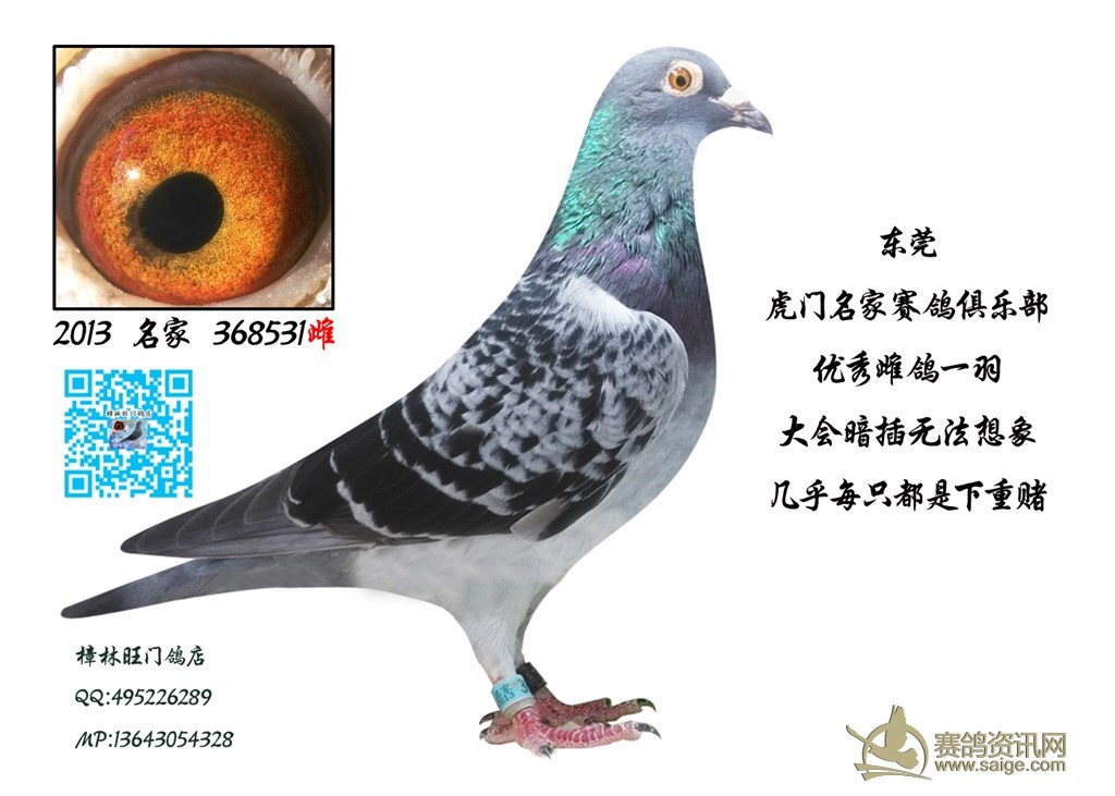 《泰安市户外广告设施和招牌设置治理条例》批准通过!未经许可擅自设置大型户外广告设施最高可罚5万【三亿体育官网】(图2) 三亿体育官网