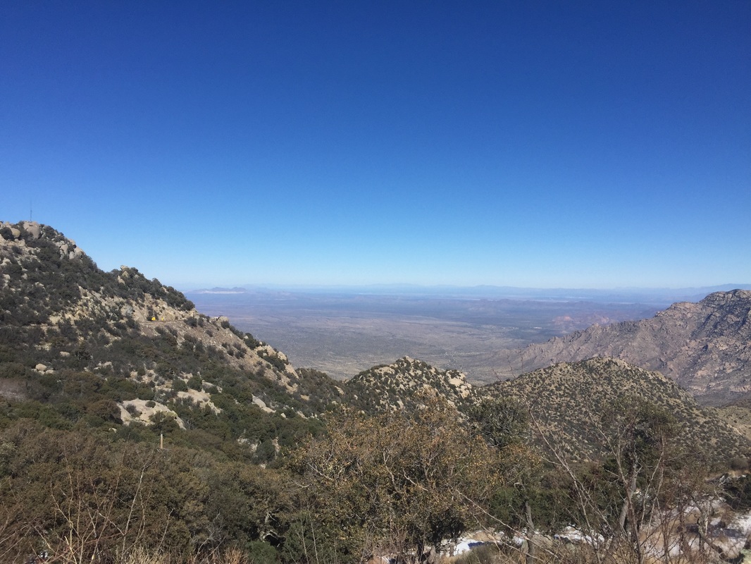 沃尔沃只要13.8万！年度最佳捡漏车型，还买啥思域/卡罗拉‘三亿体育手机版’