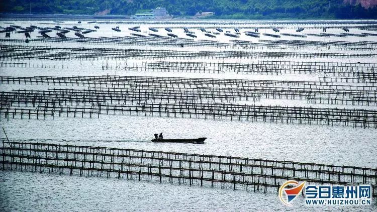 “三亿体育官网”神似！刘亦菲版《花木兰》新海报致敬98版前作